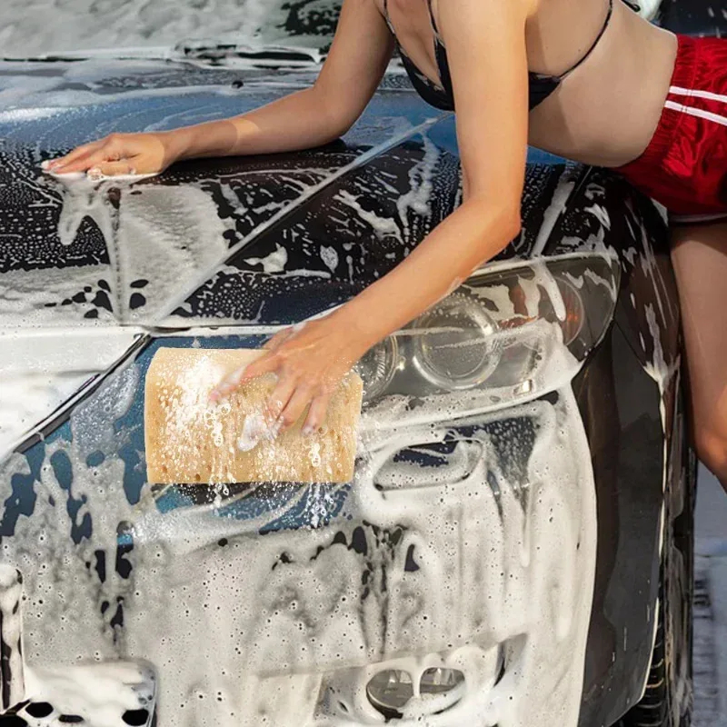 Esponja Grande para Lavagem de - Car Detailing Brush avaliação e preço